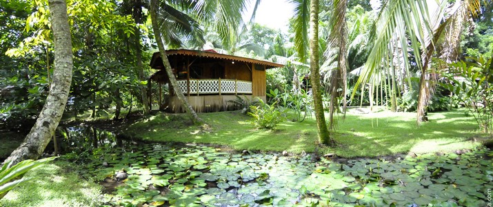 Restaurant La casa de papito Caraïbes Sud Puerto Viejo de Talamanca restaurant bois