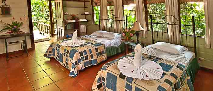 Aninga Hotel & Spa - Chambre Aninga Hotel & Spa chambre deux lits simples fenêtres