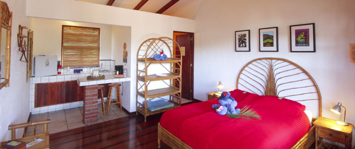 Orosi Lodge - Chambre Vallée Orosi Lodge Turrialba Chambre