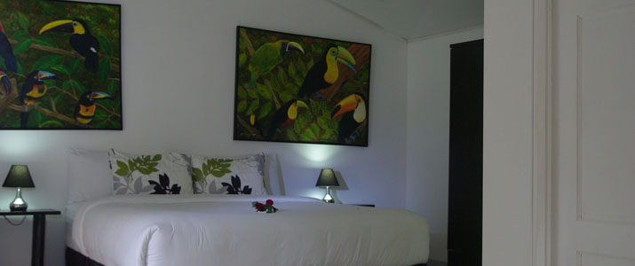 Hotel Quelitales - Chambre Hotel Quelitales Ujarras Vallée d'Orosi Cachi Turrialba Cathie Chambre