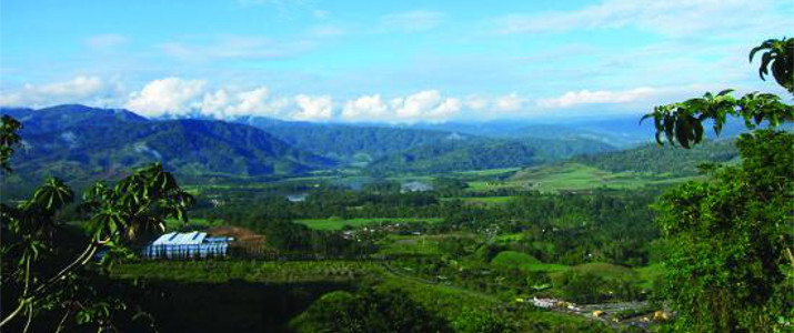 Turrialtico Lodge Turrialtico Lodge