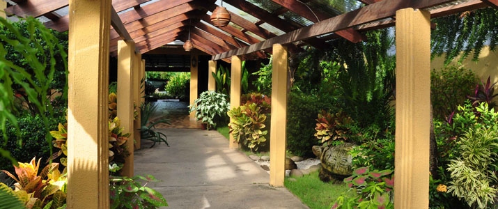 La Punta - Extérieur La Punta Puntarenas Hotel Costa Rica Extérieur Plante Couloir