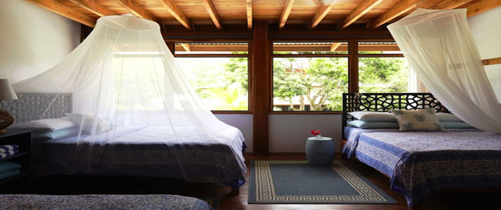 Blue Osa Lits Blue Osa Hotel Corcovado Costa Rica Hotel Lits