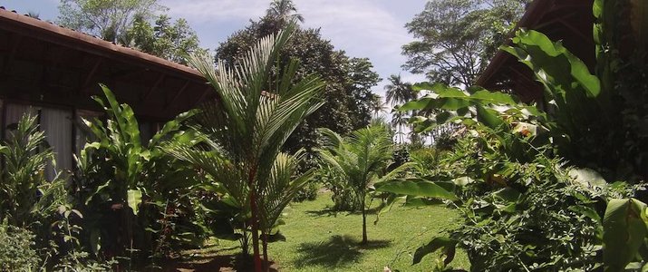 Hôtel Kenaki Lodge Bâtiment Kenaki Lodge Caraïbes Sud Cahuita Nuit Bois Nature Jardin