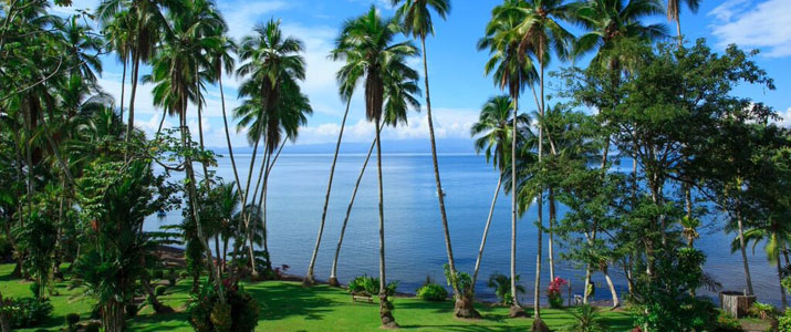 Playa Cativo Vue Playa Cativo Hotel Costa Rica Pacifique Sud Vue Palmier Mer