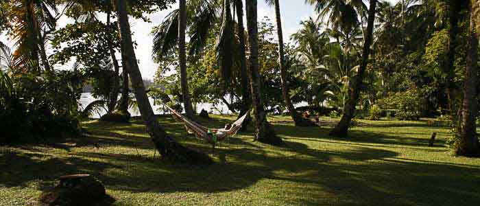 Miss Junie's (Iguana Verde Lodge) - Jardin Hotel Miss Junie's Iguana Verde jardin nature hamac