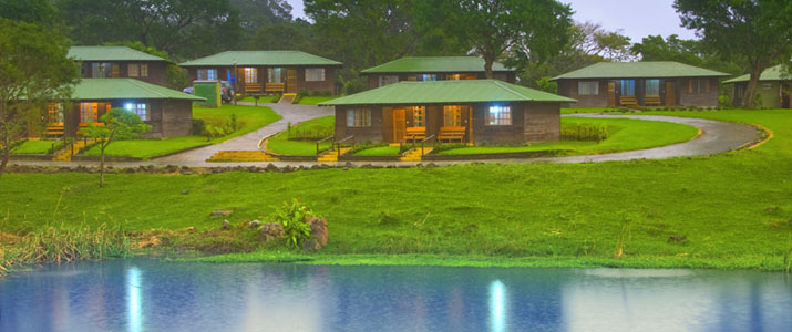 Buena Vista Lodge Nature Buena Vista Lodge Rincon Hotel Costa Rica Nature