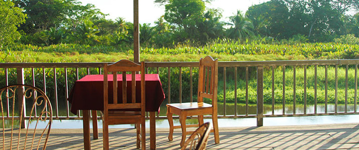 Hotel Gaviotas Hotel Gaviotas