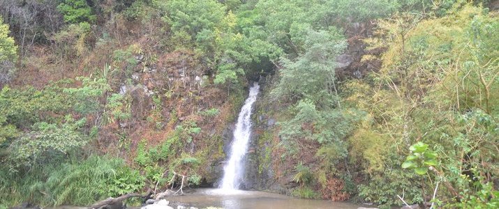 Restaurante y Cabinas La Catarata - Chute d'eau Restaurante y Cabinas La Catarata - Chute d'eau