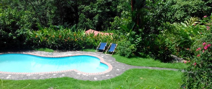 La Cacatua - Piscine piscine vue nature montagne la cacatua hotel costa rica pacifique sud uvita