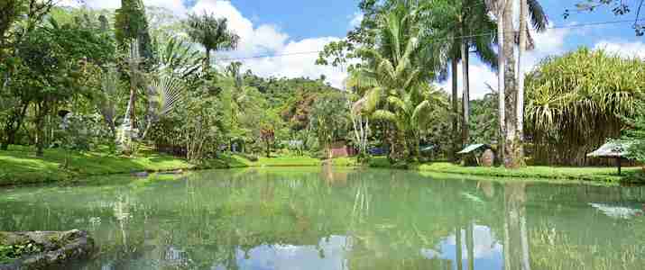 Chachagua Rainforest Ecolodge Arenal étang Chachagua Rainforest Ecolodge Arenal étang