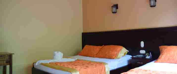 Mussaenda Arenal chambre Mussaenda Arenal chambre
