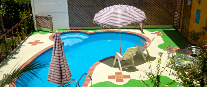 Piscine Las Casa de Las flores Caraïbes Sud Cahuita Piscine parasol chaise longue soleil jardin