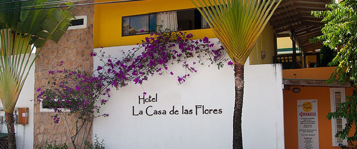 Façade La Casa de Las Flores Las Casa de Las flores Caraïbes Sud Cahuita façade palmier soleil