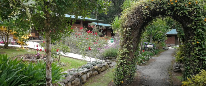 Savegre Hotel Reserve Natural & Spa San Gerardo de Dota jardin Savegre Hotel Reserve Natural & Spa San Gerardo de Dota jardin