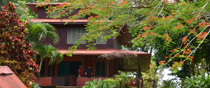Veragua River House Nature Veragua River House Hotel Corcovado Costa Rica Nature