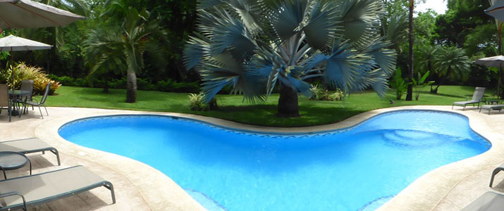Piscine Playa negra Guesthouse Caraïbes sud Cahuita piscine