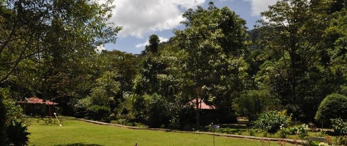 Sueño del bosque Jardin Sueño del bosque Hotel Costa Rica Exterieur