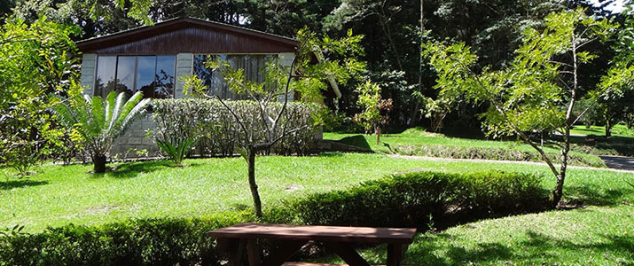 Los Pinos - Cabinas y Jardines - Jardin Los Pinos Cabinas y Jardines Monteverde Santa Elena Rainforest Forêt de Nuages Jardin