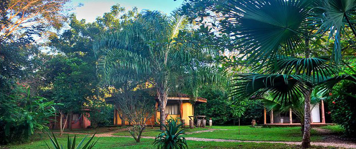 Mauna Loa jardin Mauna Loa Guanacaste Playa Avellanas jardin en pleine nature