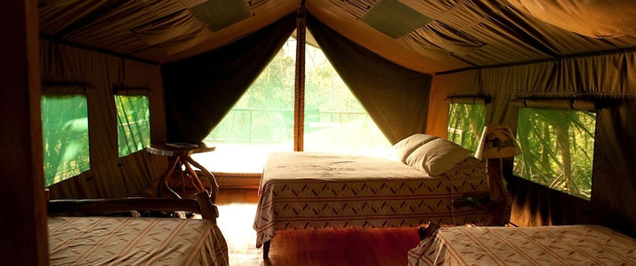 Rafiki Safari Lodge Chambre Rafiki Safari Lodge Dominical Pacifique Sud Costa Rica Hotel Chambre