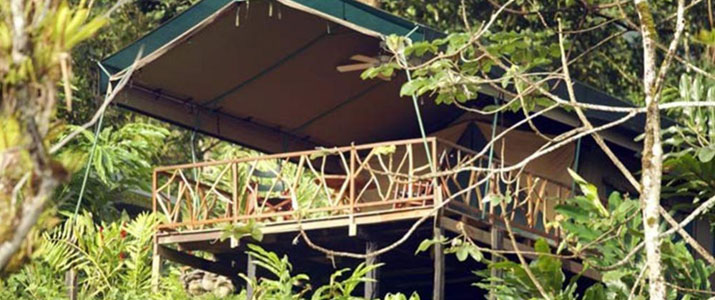 Rafiki Safari Lodge Vue Rafiki Safari Lodge Dominical Pacifique Sud Costa Rica Hotel Vue