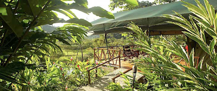 Rafiki Safari Lodge Rafiki Safari Lodge Dominical Pacifique Sud Costa Rica Hotel