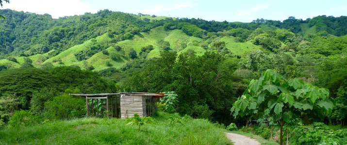 Finca Cantarana Finca Cantarana Nicoya Sud Jiracal Montaña Grande Vue Jungle Casita