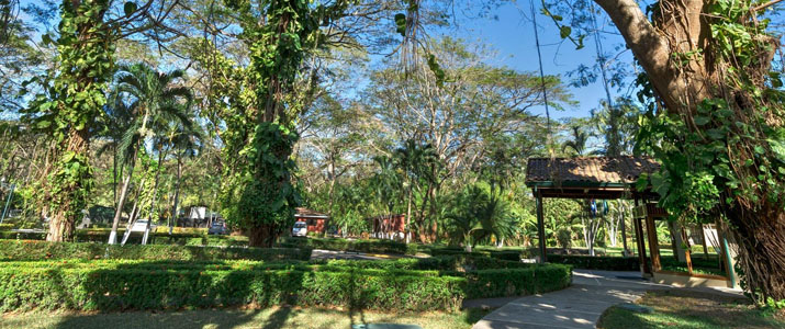 Casa Conde del Mar extérieur Casa Conde del Mar Guanacaste Playa Panama extérieur jardin