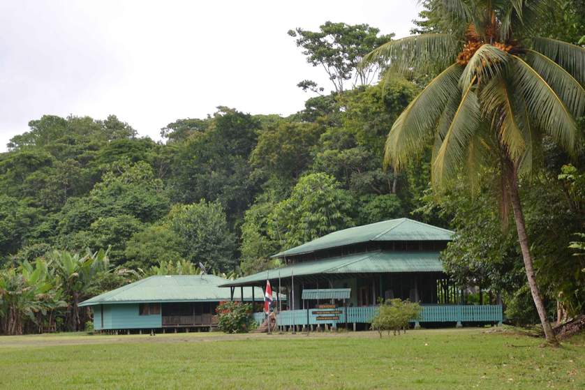 Osa/Corcovado - Station de La Sirena Osa Parc Corcovado Station La Sirena