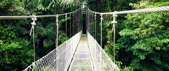 Arenal Hanging Bridges Ponts Jungle