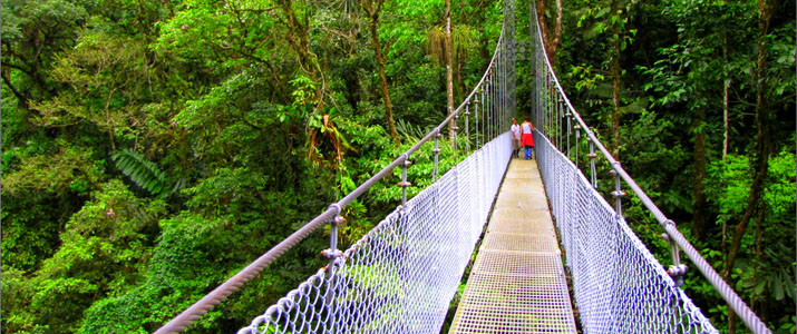 Arenal Hanging Bridges Ponts suspendus Jungle