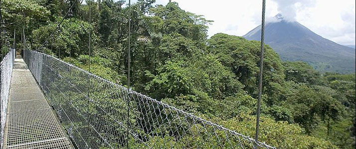 Arenal Hanging Bridges Vue Panoramique