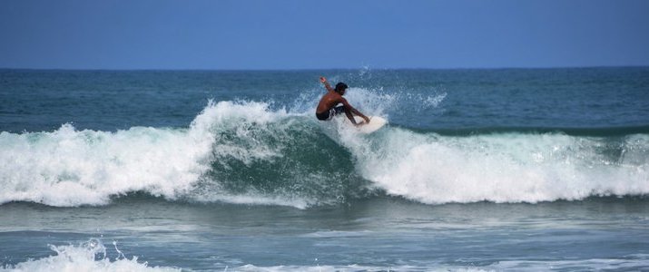 Avellanas Surf School Surfeur Vagues