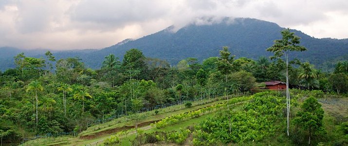 La Anita Rainforest Lodge Chocolate Tour - Rancho et Plantation