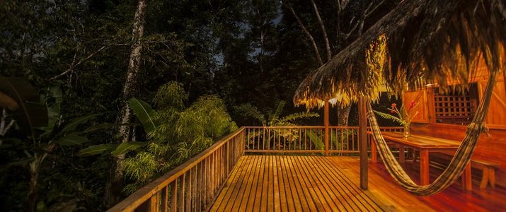 La Ceiba Bosque Primario Tours (Centro de Rescate Jaguar) - Terrasse La Ceiba Bosque Primario Tours (Centro de Rescate Jaguar) - Terrasse