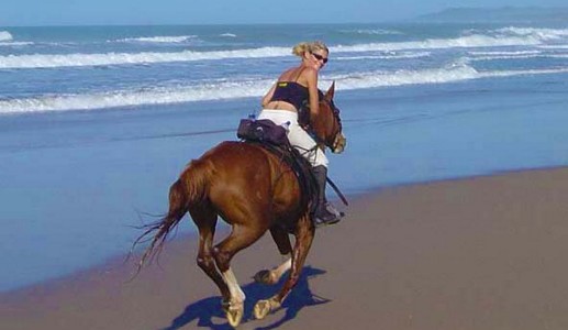 Aventuras Vaqueras Cheval 1