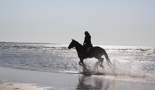 Aventuras Vaqueras Cheval 2