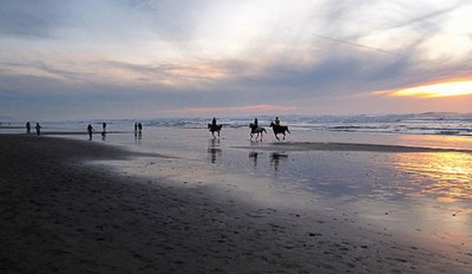 Aventuras Vaqueras Cheval 4