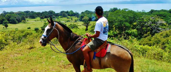 cheval, nature, mer, vue, nature, corcovado, osa, puerto Jimenez, activité, costa rica