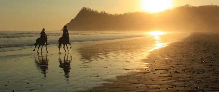 Horse Jungle balade cheval observation animaux singes