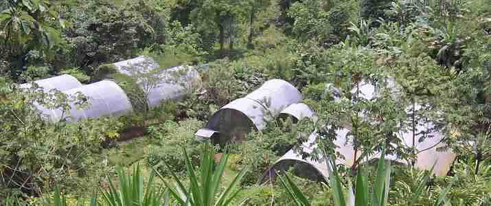 Butterfly Conservatory Arenal vue