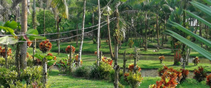 Finca Sura Puerto Viejo de Sarapiqui paysage