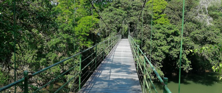 Réserve biologique de La Selva Puerto Viejo de Sarapiqui pont suspendu