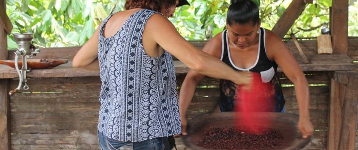 Cariari Tours Cahuita tour de chocolat