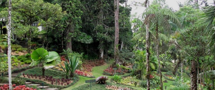 Jardin botanique Wilson station biologique las cruces san vito plantes
