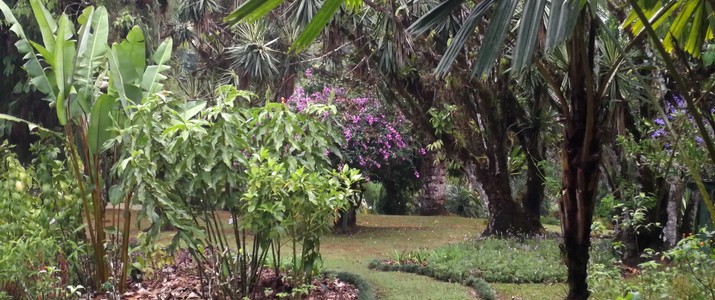 Jardin botanique Wilson station biologique las cruces san vito plantes