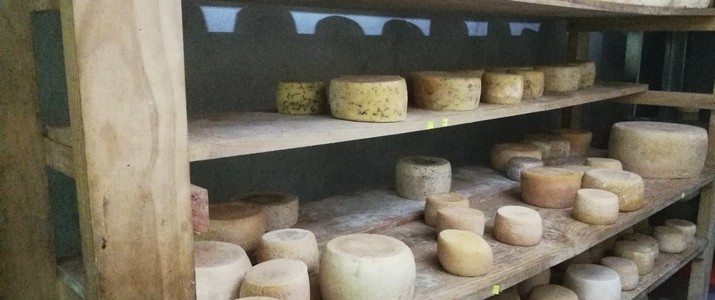 Quesos Canaan San Gerardo de Rivas fromage