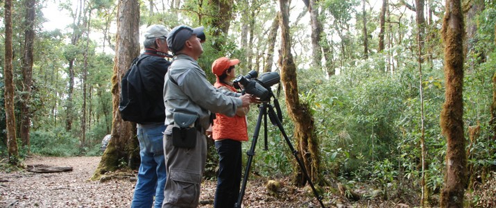 Batsu Garden San Gerardo de Dota observation