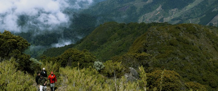 Batsu Garden San Gerardo de Dota paramo